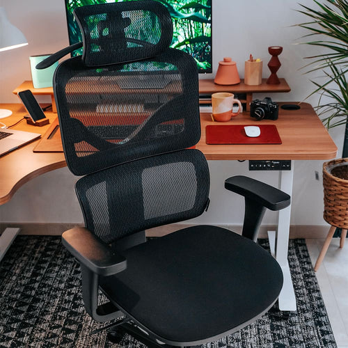 Chaise ergonomique Terrana pro 1