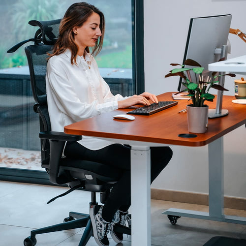 Chaise ergonomique Terrana pro 1